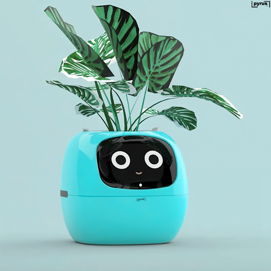 Pyrus Vivid™