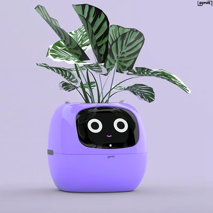 Pyrus Vivid™