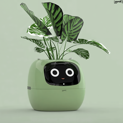 Pyrus Vivid™