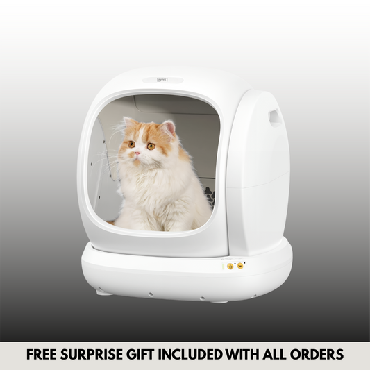 Pyrus Catvana™