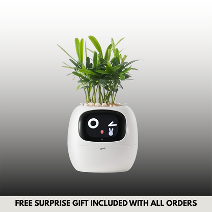 Pyrus Vivid™