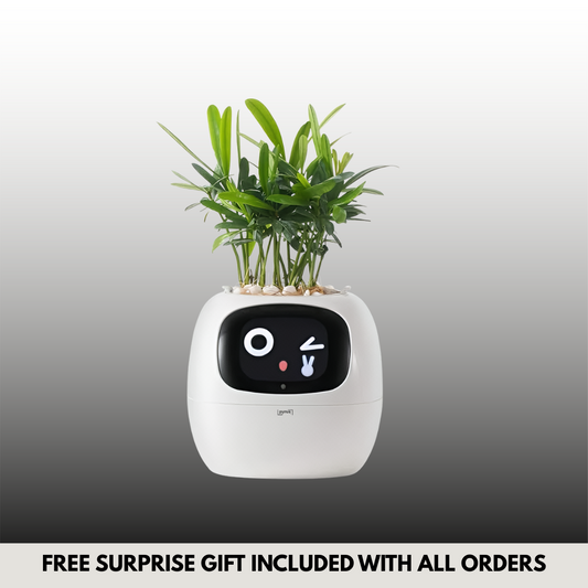 Pyrus Vivid™