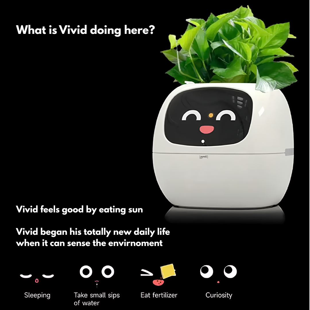 Pyrus Vivid™