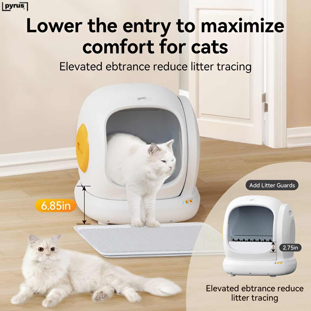 Pyrus Catvana™