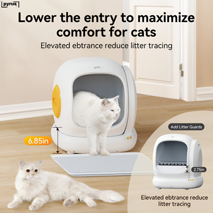 Pyrus Catvana™