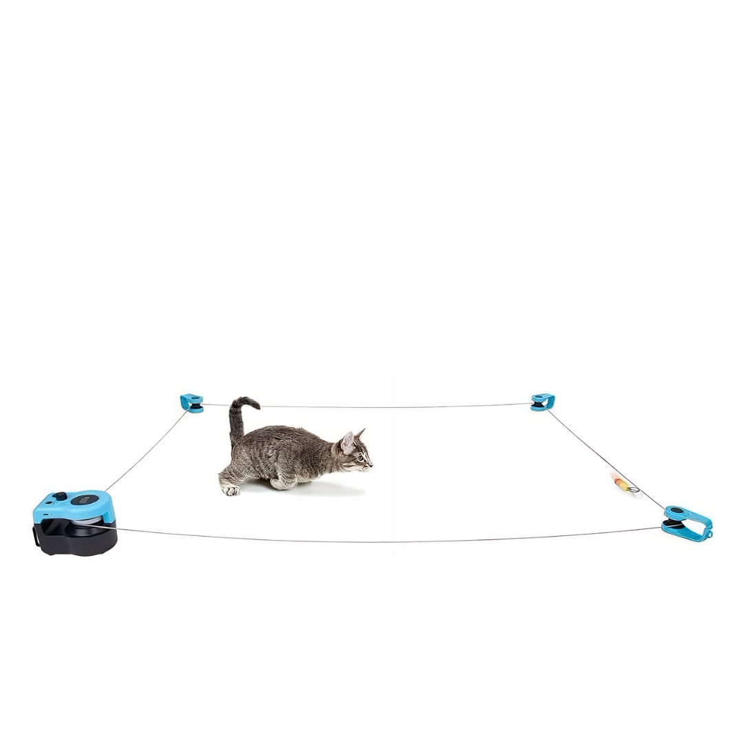 Pyrus CatRun™