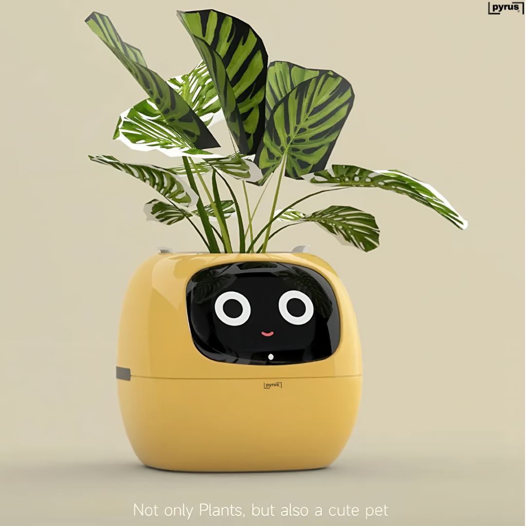 Pyrus Vivid™