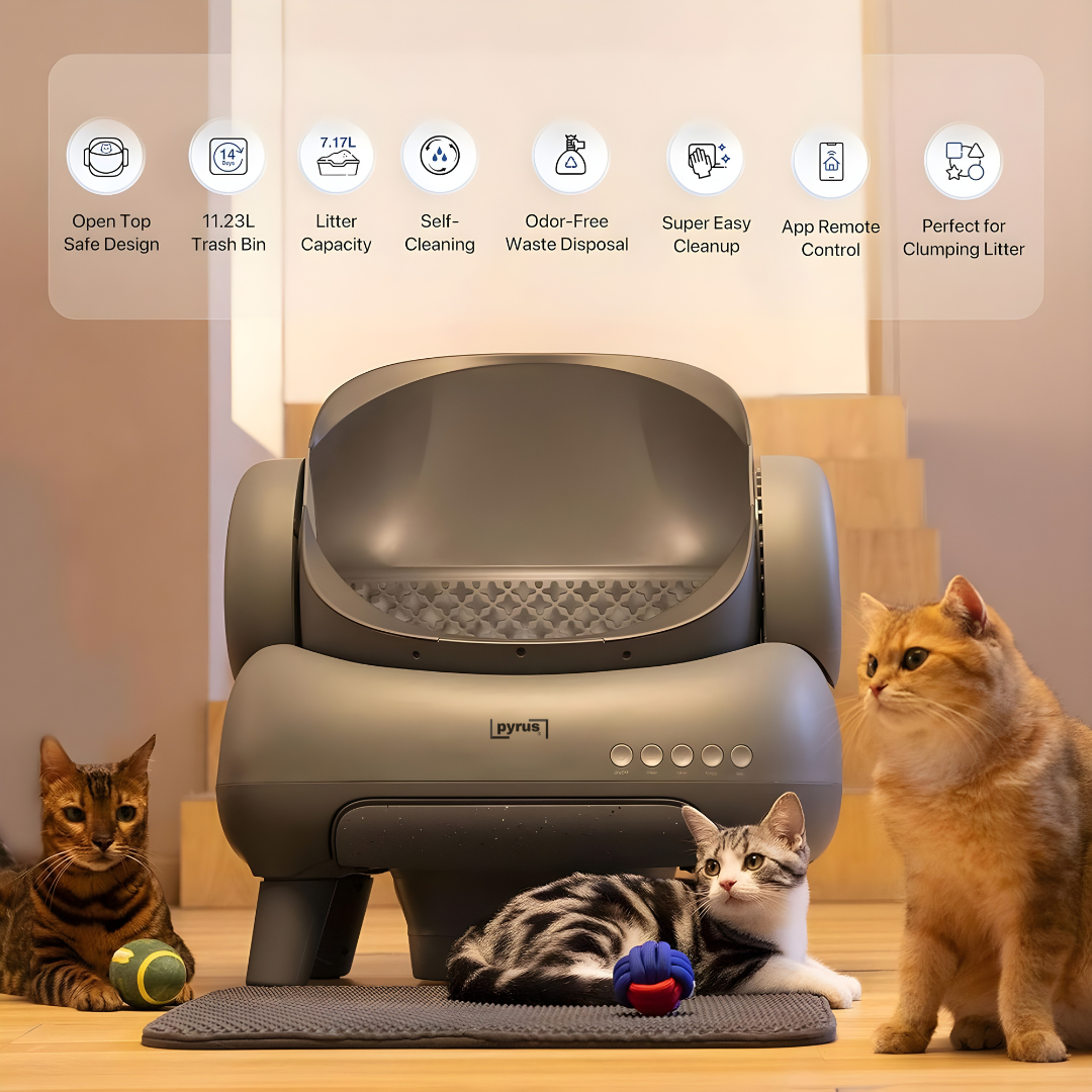 Pyrus CleanBox™
