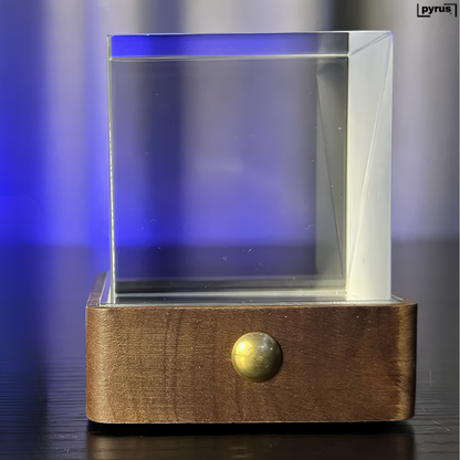 Pyrus Vizio™