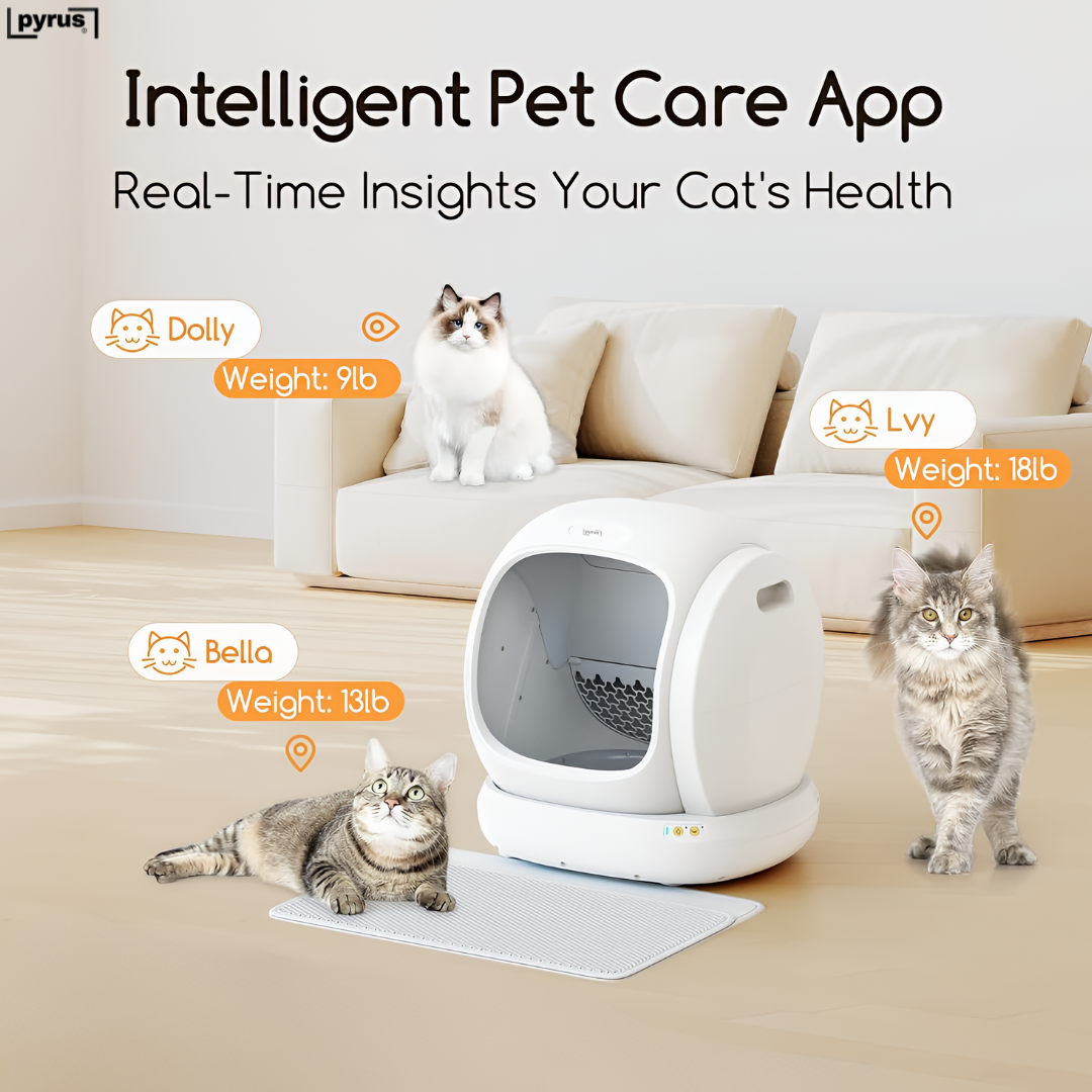 Pyrus Catvana™