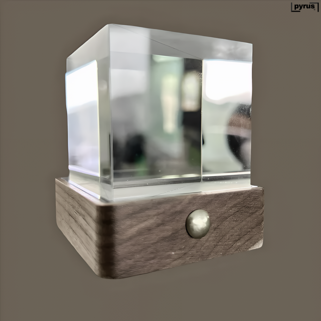 Pyrus Vizio™
