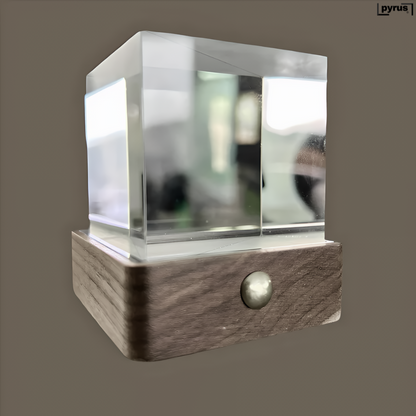 Pyrus Vizio™