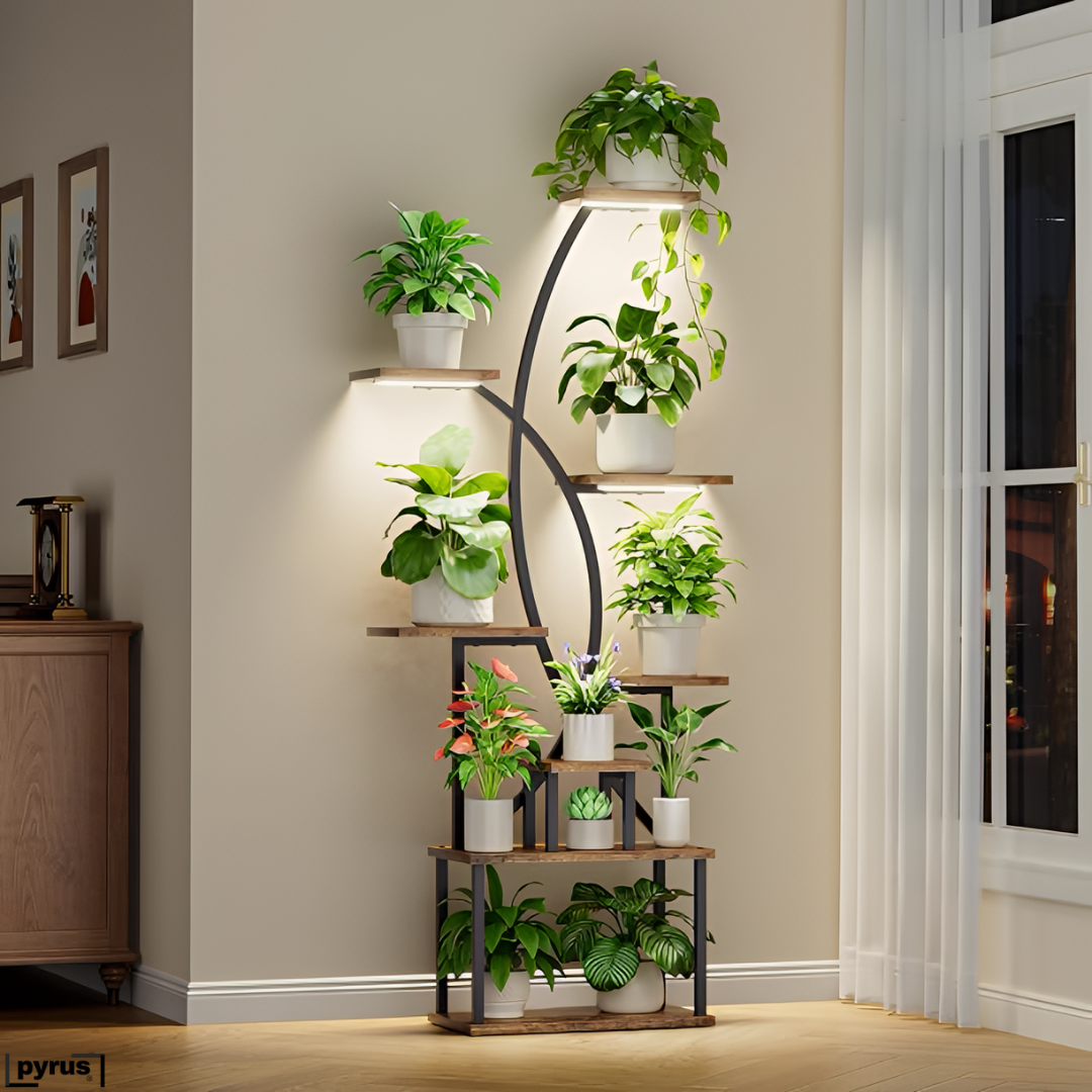 Pyrus Arbor™