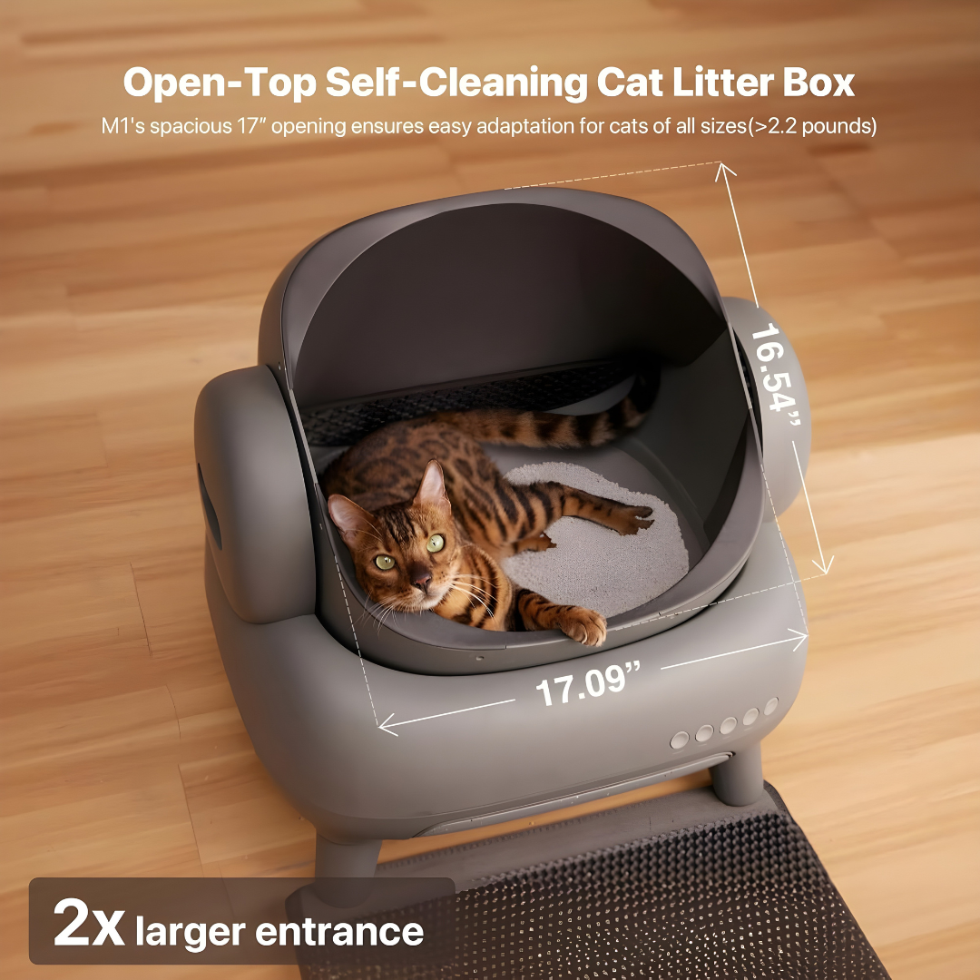 Pyrus CleanBox™