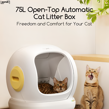 Pyrus Catvana™