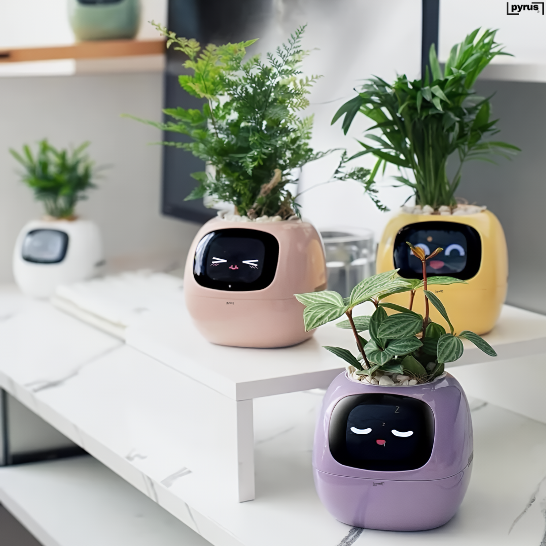 Pyrus Vivid™